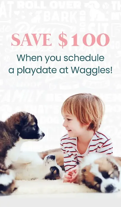 Schedule Playdate and Save $100!