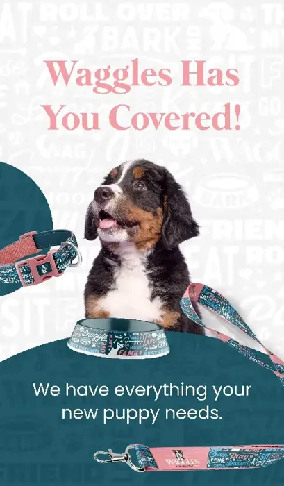 Waggles Has Your Back!