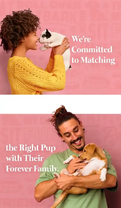 Find Your Puppy with Waggles