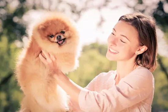 A happy Waggles owner cuddling their adorable new puppy