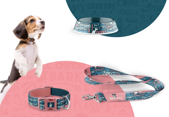 Cute puppy with pet accessories at a trusted puppy store in Kendall, Florida