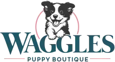 Waggles Kendall Puppy Boutique