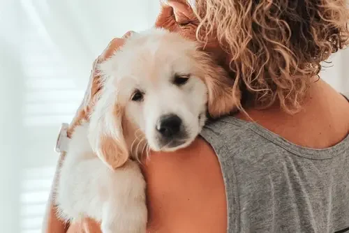 Shy Puppies: Gentle and Sensitive